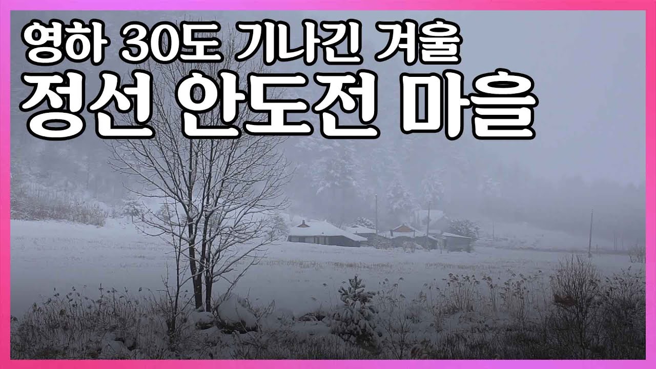 [30분 다큐] 부잣집 딸이던 그녀가 다 버리고, 지리산 첩첩산중 오지에 작은 오두막에서 30년째 살고있다!ㅣKBS 2009.08.12