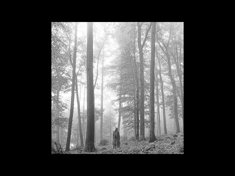 Taylor Swift Cardigan Lead Vocals