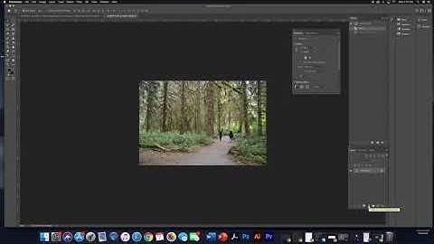 Lesson 4 Curves in Photoshop