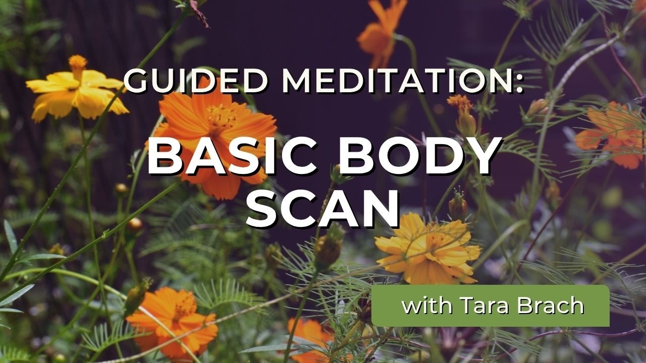 Body Scan Meditation: Awakening Presence Through Sensation