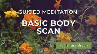 Guided Meditation: Basic Body Scan | Tara Brach