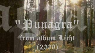 Video thumbnail of "Faun - Punagra"