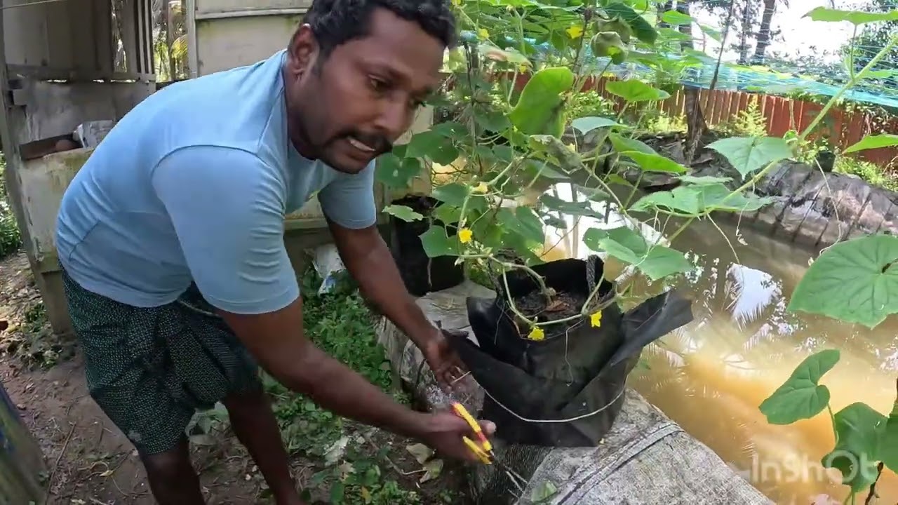 ഒന്ന്  ശ്രമിച്ചു  നോക്കൂ 