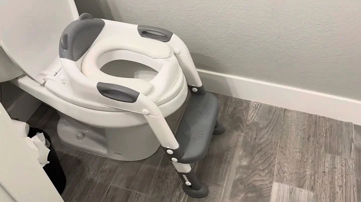 Toilet Potty Training Seat with Step Stool Ladder, SKYROKU Training Toilet Review