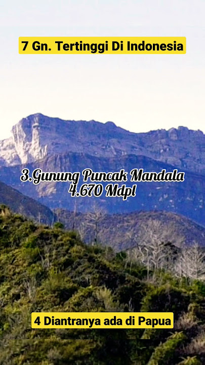 7 Gunung Tertinggi Di Indonesia #jayawijaya #rinjani #semeru #kerinci #papua #gunung