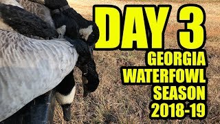 Day 3 of 2018 Ga Waterfowl Season