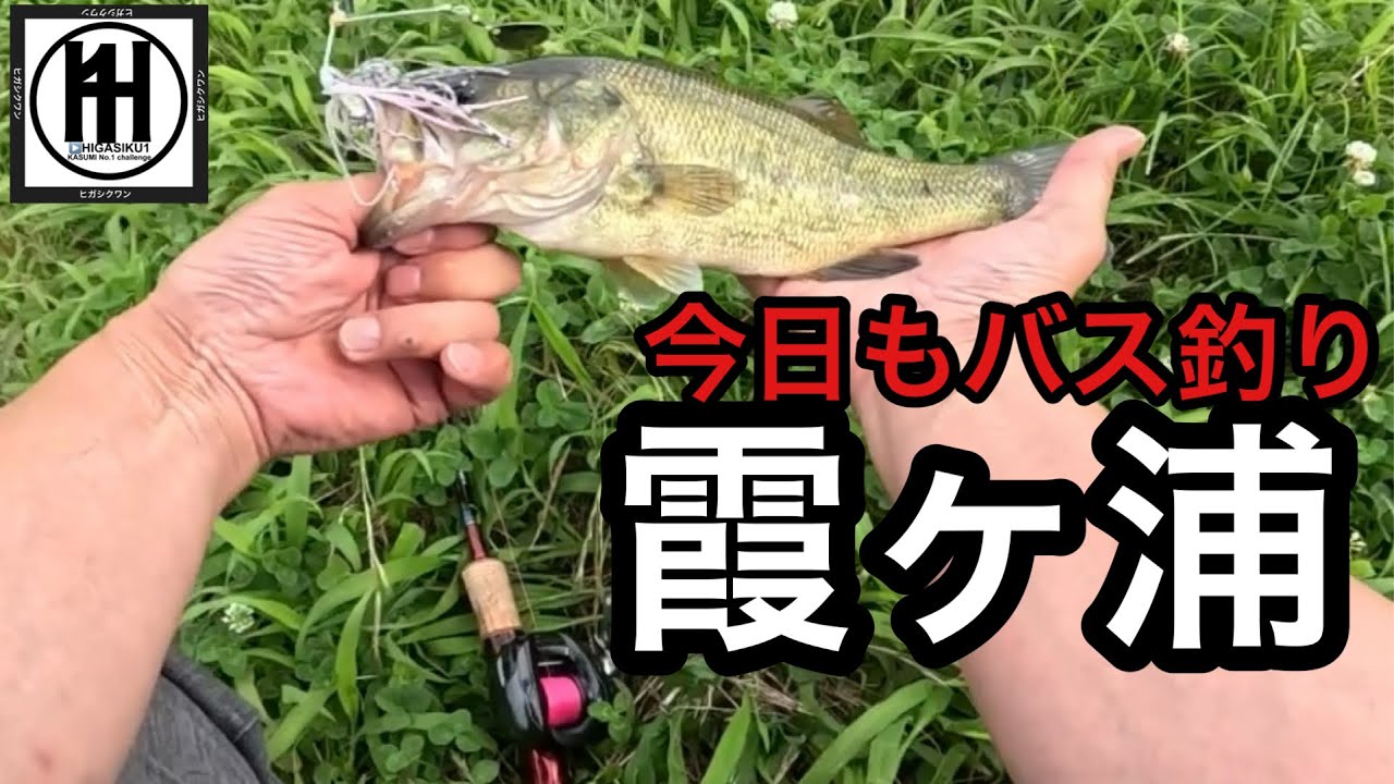 Bass Fishing at Lake Kasumigaura! Inlets & Waterways: Only Using