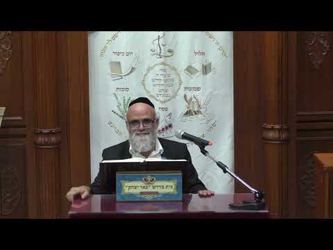 הלכה | הרב פנחס רז | הלכות ראש השנה | כח' אלול -תשפ"ד