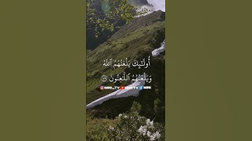 ماهر المعيقلي - سورة البقرة ( برواية حفص عن عاصم ) الأية 159 - 160