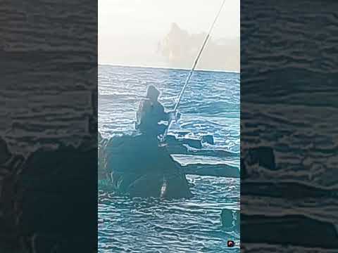 رايس اب زين 