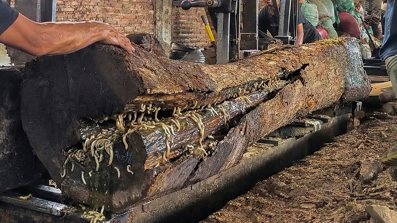 INSANE SKILLS!! Dangerous Giant Wood Cutting Process Caught on Camera