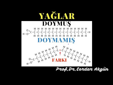 Doymuş, Doymamış, Yağ Farkı Nedir?, Prof.Dr.Serdar Akgün, Sağlık Videoları