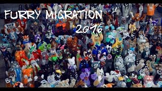 Patrick's Furry Migration 2016