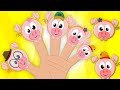 Cerdos dedo de la familia | Canciones infantiles | Pigs Finger Family