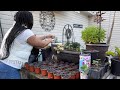 Planting corn into containers small container gardening  raised bed gardening