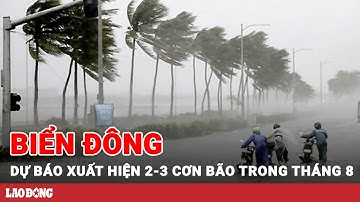 Biển Đông có thể xuất hiện 2-3 cơn bão và áp thấp nhiệt đới trong tháng 8 | BLĐ