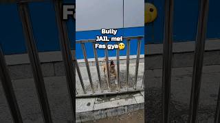 Bully👹 sanda JAIL se farar🏃 😵‍💫🔒    #amanandbully #pitbulldog #americanbully