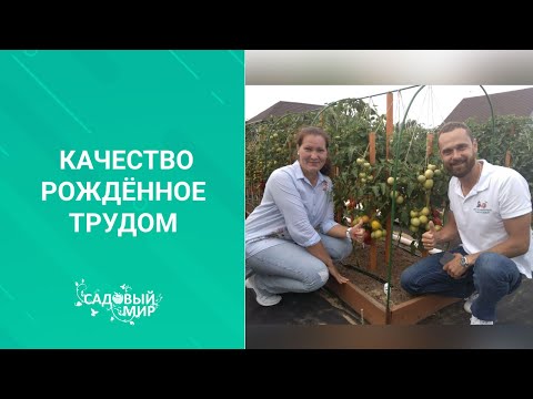 ОБЗОР САМЫХ УРОЖАЙНЫХ СОРТОВ ТОМАТОВ! ОБЯЗАТЕЛЬНО ПОСАДИТЕ НА СЛЕДУЮЩИЙ ГОД. В гостях у Партнера.