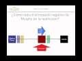 Implementación de buffers del Sistema DBR