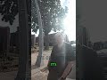 Bodycam OWI Suspect Demands Smoke & Phone Call