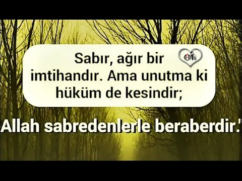 Bir Allah dostu der ki : \