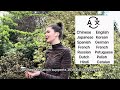 iTourTranslator 22 PRO:Hear the World in Real-Time!#translate #language #earbuds #iTourTranslator