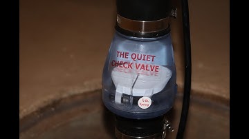 Zoeller Quiet Check Valve