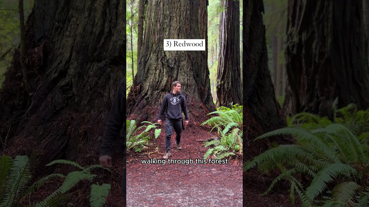 Top 5 Most Underrated National Parks 