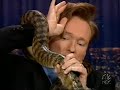 Late Night 'Clyde Peeling The Animal Expert! 12/28/04