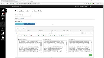 Maximal Strategist Market Segmentation Analysis Overview