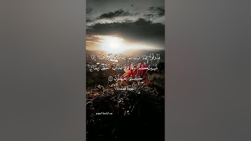 #اكسبلور #تلاوة_خاشعة #لايك #قرآن #راحة_نفسية #duet #quran #تيك_توك #دويتو #حالات_واتس