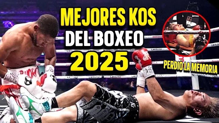 BEST BOXING KNOCKOUTS OF 2025!....THE 10 MOST TERRIFYING