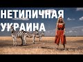 Розовые озера и зебры: маршрут по нетипичной Украине. Аскания-Нова. Олешковские пески и не только.