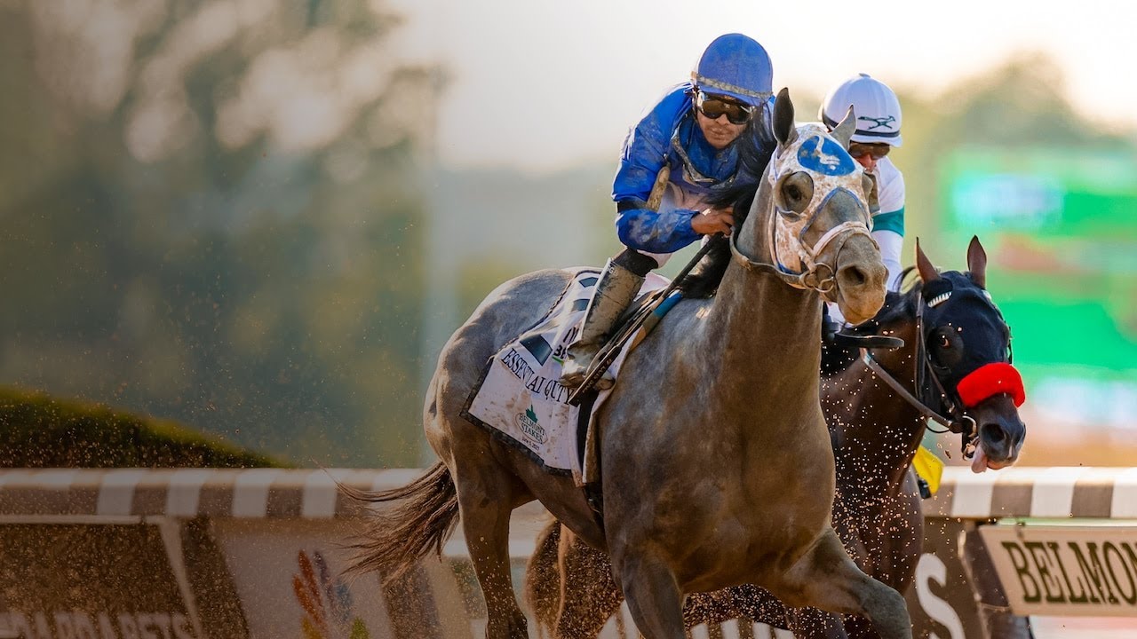 Live Horse Racing Stream FREE!! YouTube