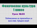 Физическая культура.1 класс (Урок№28 - Подтягивание на перекладине из виса лежа. Кувырок назад.)