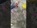Popp Balloons #shorts #balloons #viralshorts