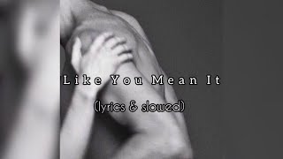 Steven Rodriguez - Like You Mean It (lyrics & slowed)