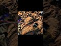 Der lauteste TinyWhoop Buzzer ever 👽🥽🎮🛸💯😁 #fpv #tinywhoopfpv