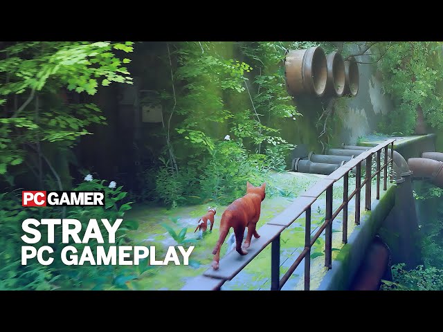 STRAY Gameplay Demo (Cat Game 2022) 4K 