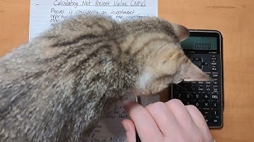 How To Calculate The Internal Rate Of Return (IRR) Using The SHARP EL-738XT Financial Calculator