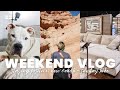 Spartacus Has Cancer 💔 + Black Friday Shopping &amp; New Couch + Red Rock Canyon Hike | Vlog 227