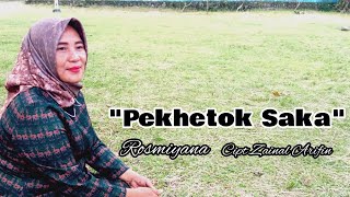 Lagu Lampung - Pekhetok Saka - Zainal Arifin - Cover. Rosmiyana
