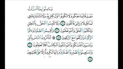 حفظ سورة البقرة من الآية(41)الى الآية (45)مكررة