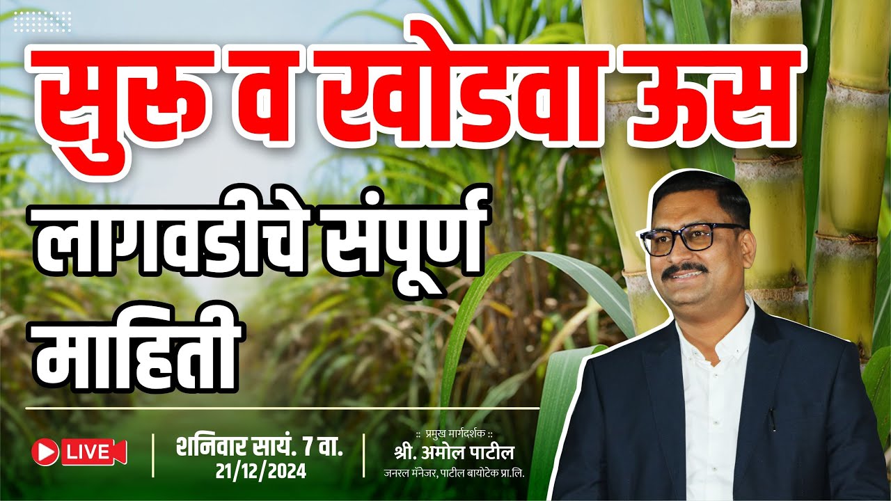 सुरू व खोडवा ऊस लागवडीचे संपूर्ण  तंत्रज्ञान  suru v khodava us lagawadiche sampurn tantradnyan