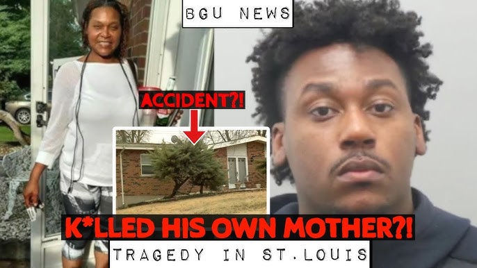Son K Lls His Own Mother Inside Of Their St Louis Home Monica Johnson Mcnichols