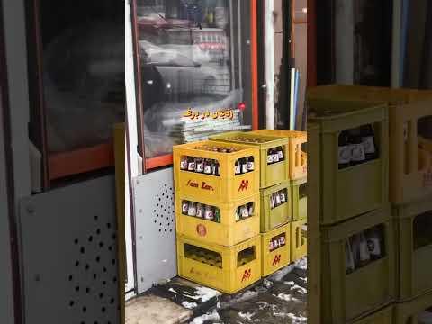 برف غافلگیر کننده امروز زنجان ۲۹ بهمن ۱۴۰۳ کاری از      