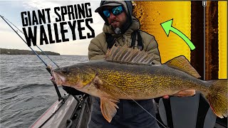 CRUSHING  GIANT Spring Walleyes CASTING  &amp; TROLLING!