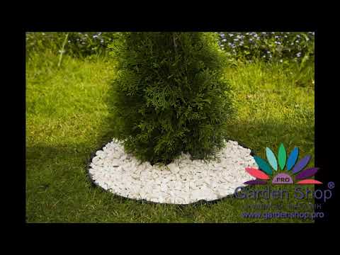 Видео: Подвижни цветни лехи