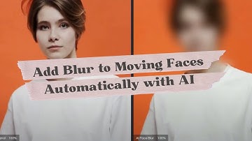 AI Face Blur: How to Add Blur or Mosaic to the Moving Faces in the Video