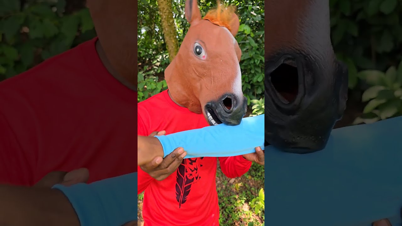 Horse Bit Little Brother S Hand 